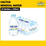 Cactus Natural Mineral Water (24 x 250ml)