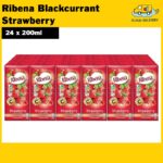 Ribena Blackcurrant Strawberry Fruit Drink (24 x 200ml)