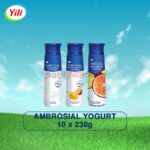 AMBROSIAL 安慕希 An Mu Xi Greek Style Yogurt Drink (10 x 230g)